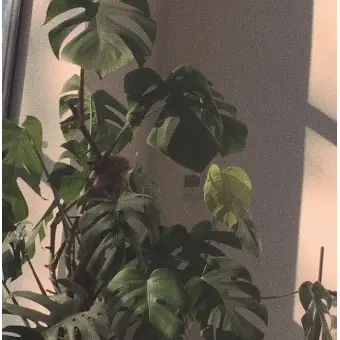 Profile image of 정공룡