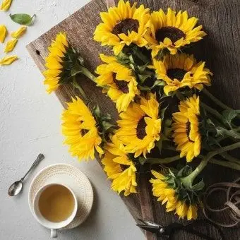 Profile image of 박덕개