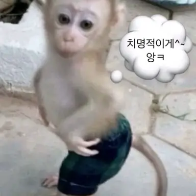 Profile image of 임주아