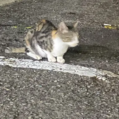 Profile image of 권지용