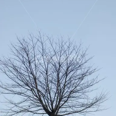 Profile image of 이설하