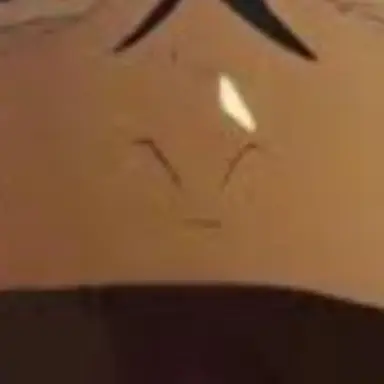 Profile image of 료멘 스쿠나