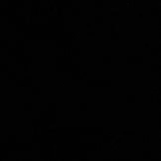 IndigoTrack7553의 이정도면경호원아니냐