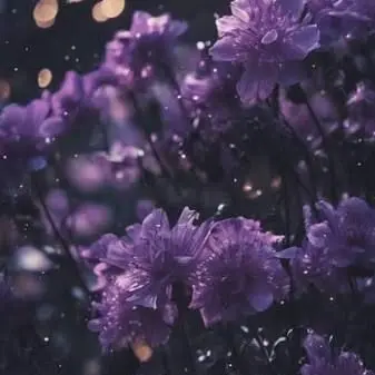 Profile image of 竹野世梛