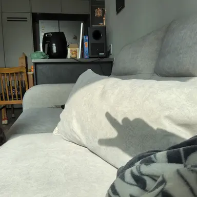 Profile image of 수현