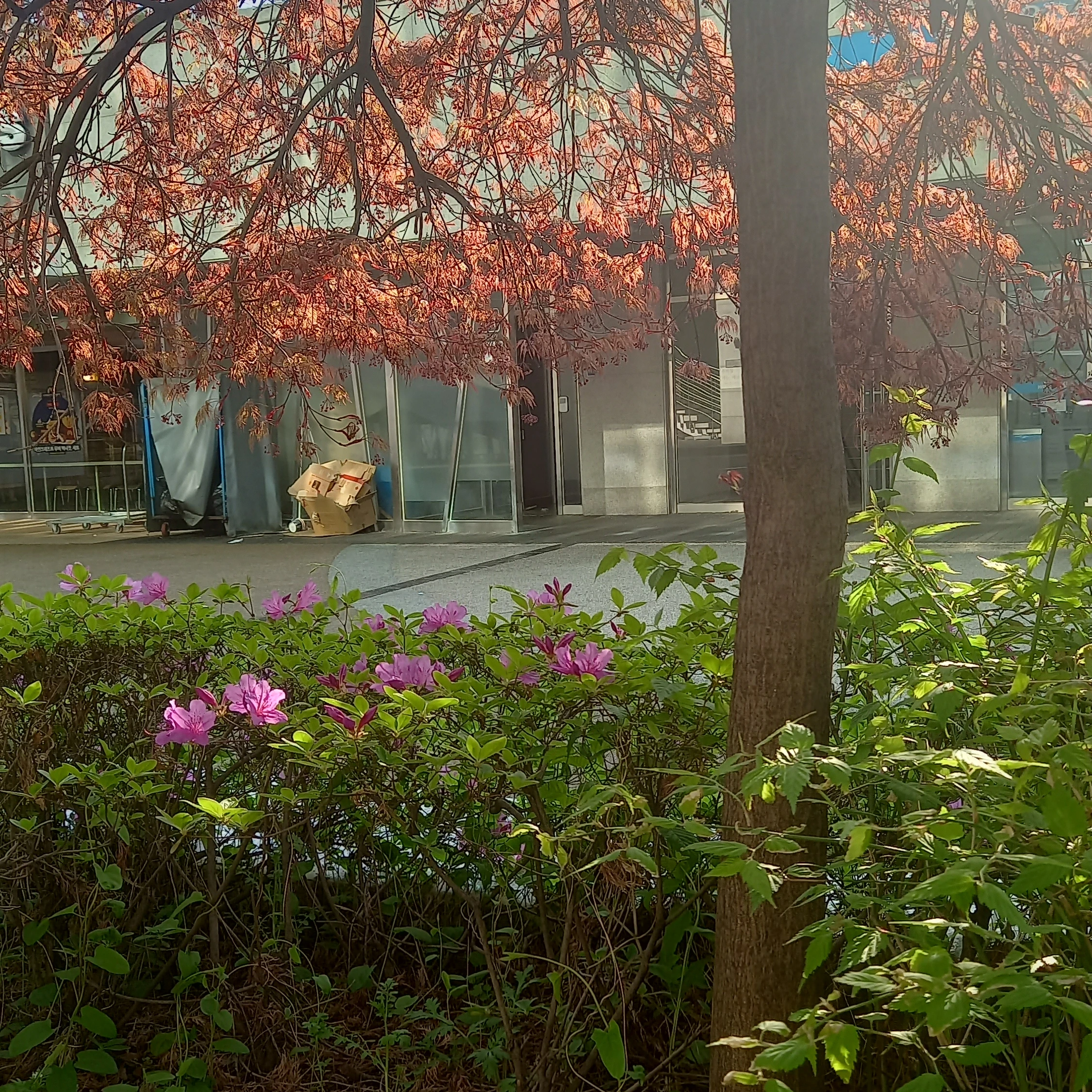 권지용