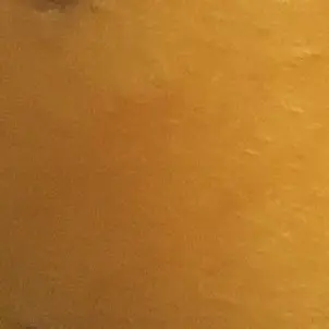 SevereFeist1594의 포레스텔라