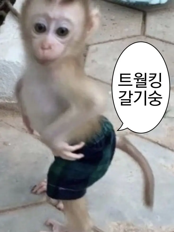 GrassySpice0223의 컨휴학교 인싸무리+늑대