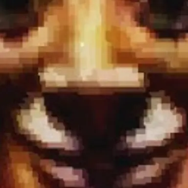 Profile image of 퉁퉁퉁퉁퉁후르