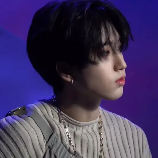 Skz_stay.의 한지성