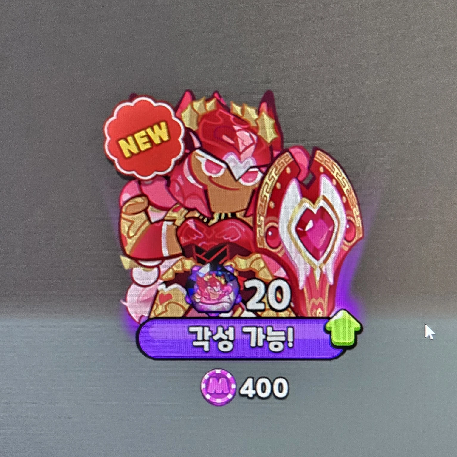 홀리베리 쿠키