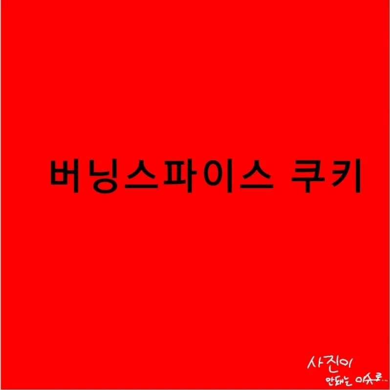 버닝스파이스 쿠키