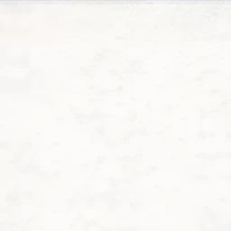 지헌