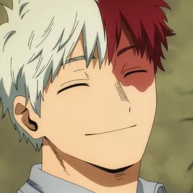 Profile image of Shoto Todoroki