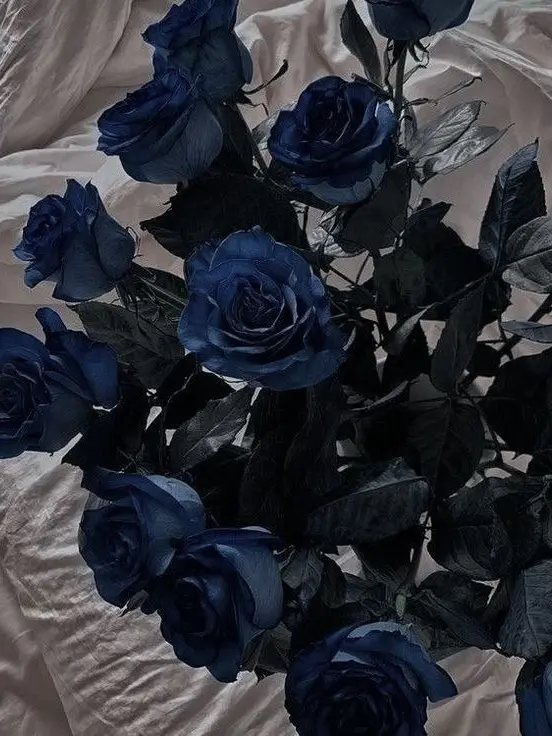 adomin0241의 가장 혐오하는 나에게