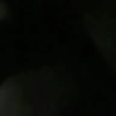Profile image of 또니