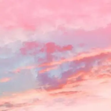 Profile image of 밥풀
