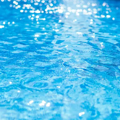 Profile image of 여선생님들