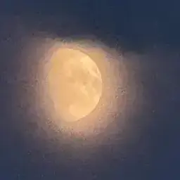Profile image of 아르테미스