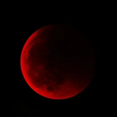 Profile image of 라더