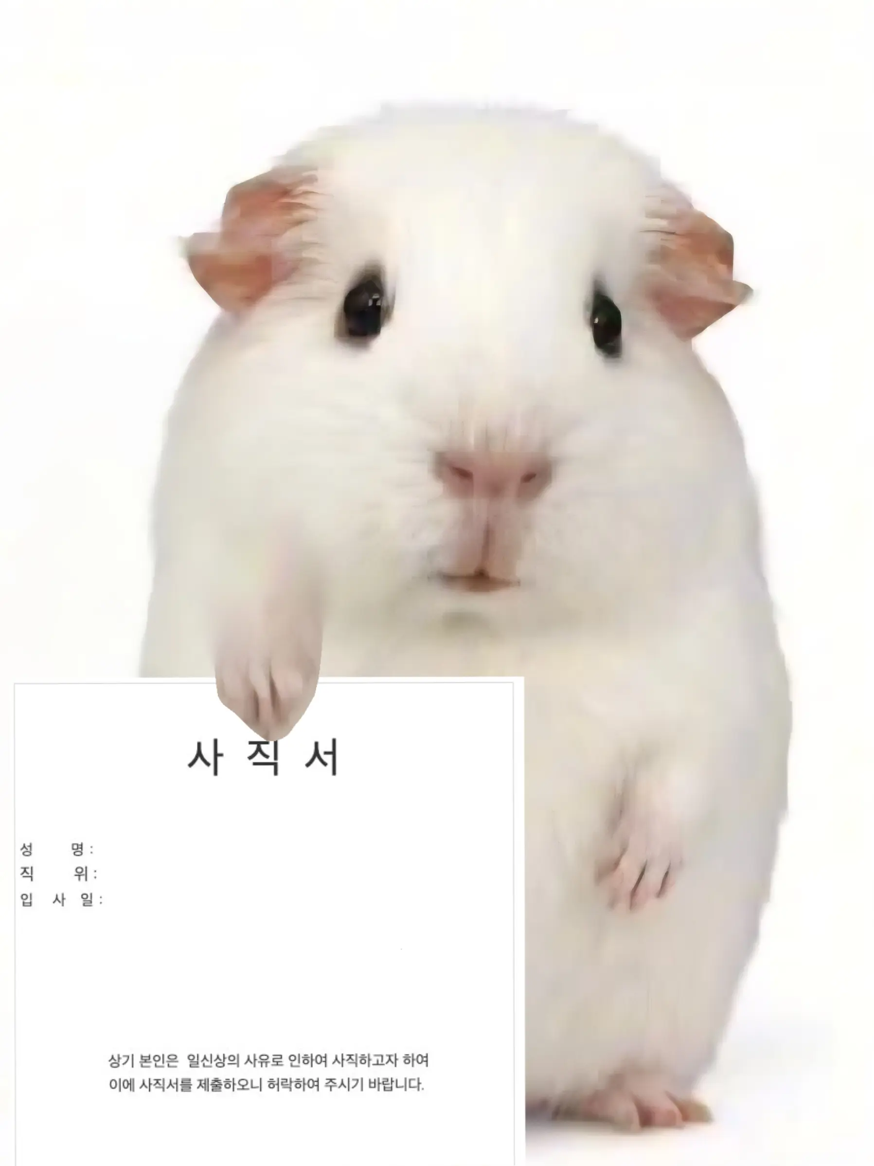 momorie3의 들어오지 말걸 그랬나...