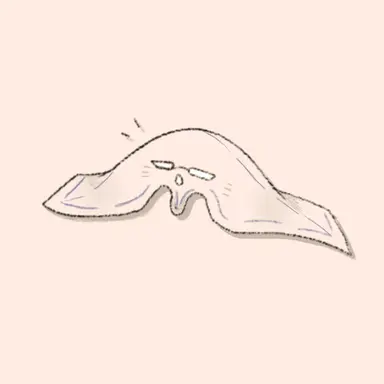 Profile image of フキンさん