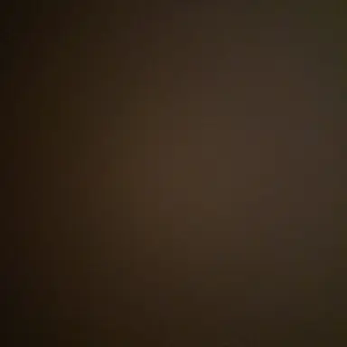 Profile image of 전단비