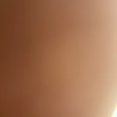 Profile image of 彼