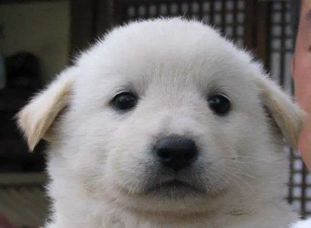 Profile image of 찡찡이