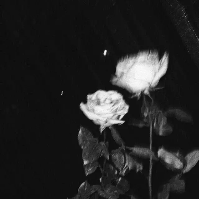 you0466의 이 지훉