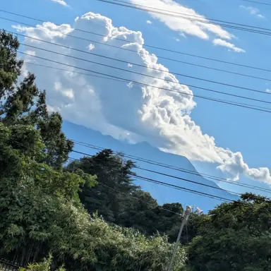 Profile image of 夏コラボメンバー