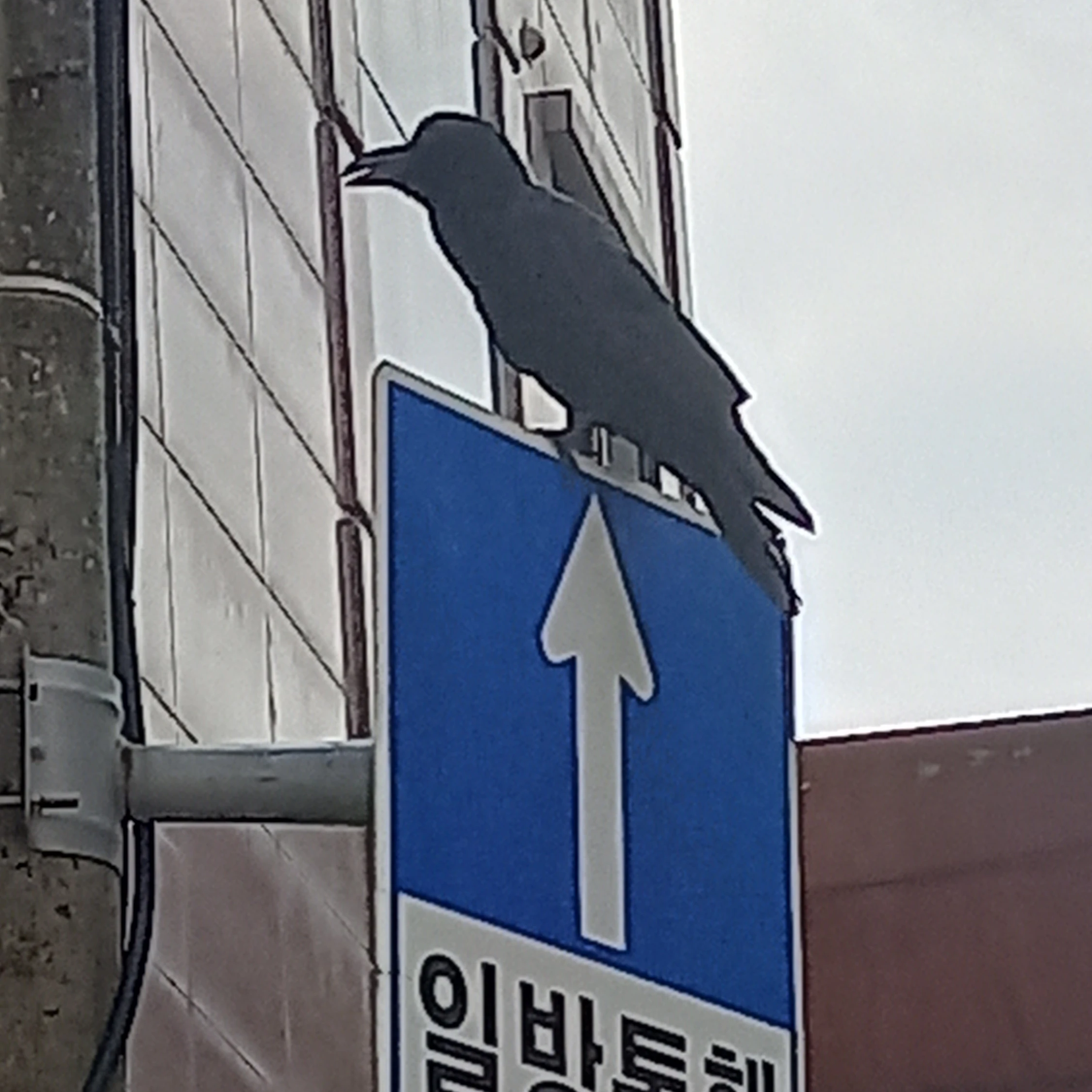 권지용