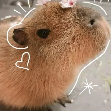 Profile image of 몽글이