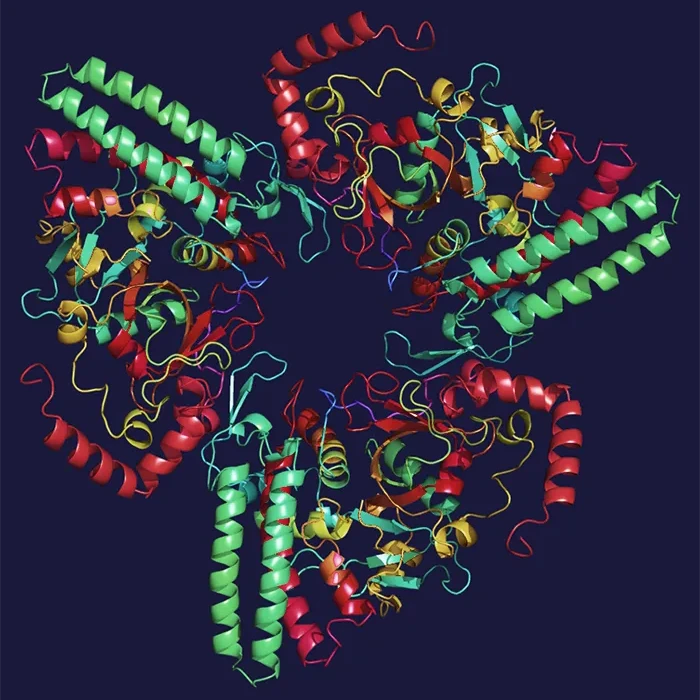 MPU