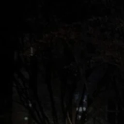 권순영