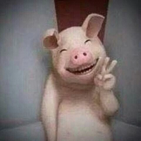 스키즈 가족