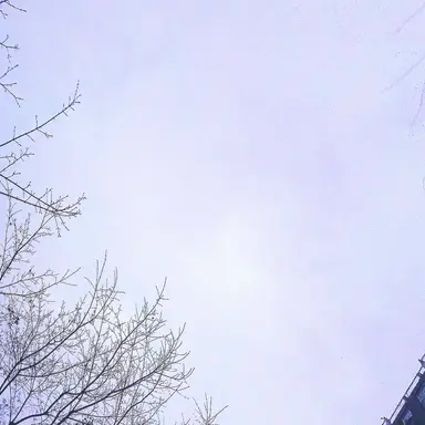 Profile image of 채영