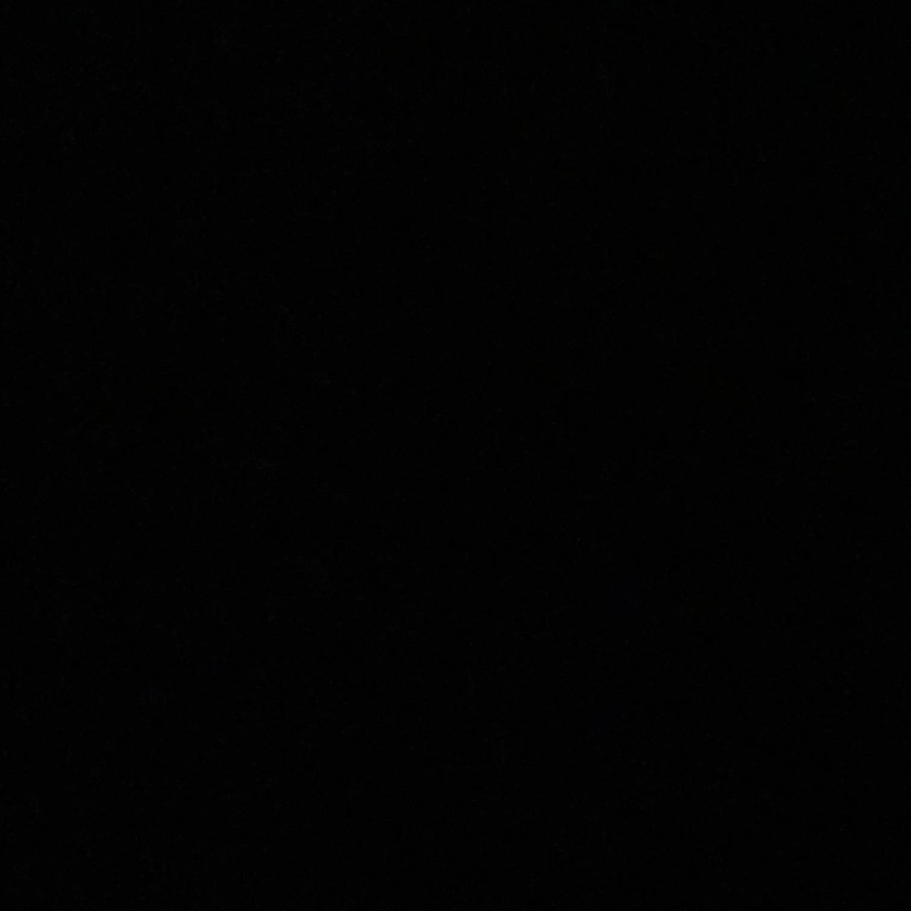 Brachioton의 박원빈
