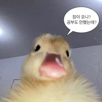 Profile image of 여우