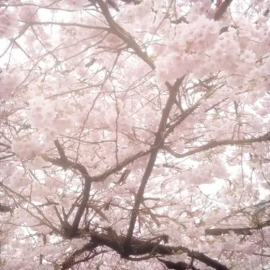Profile image of 김가영