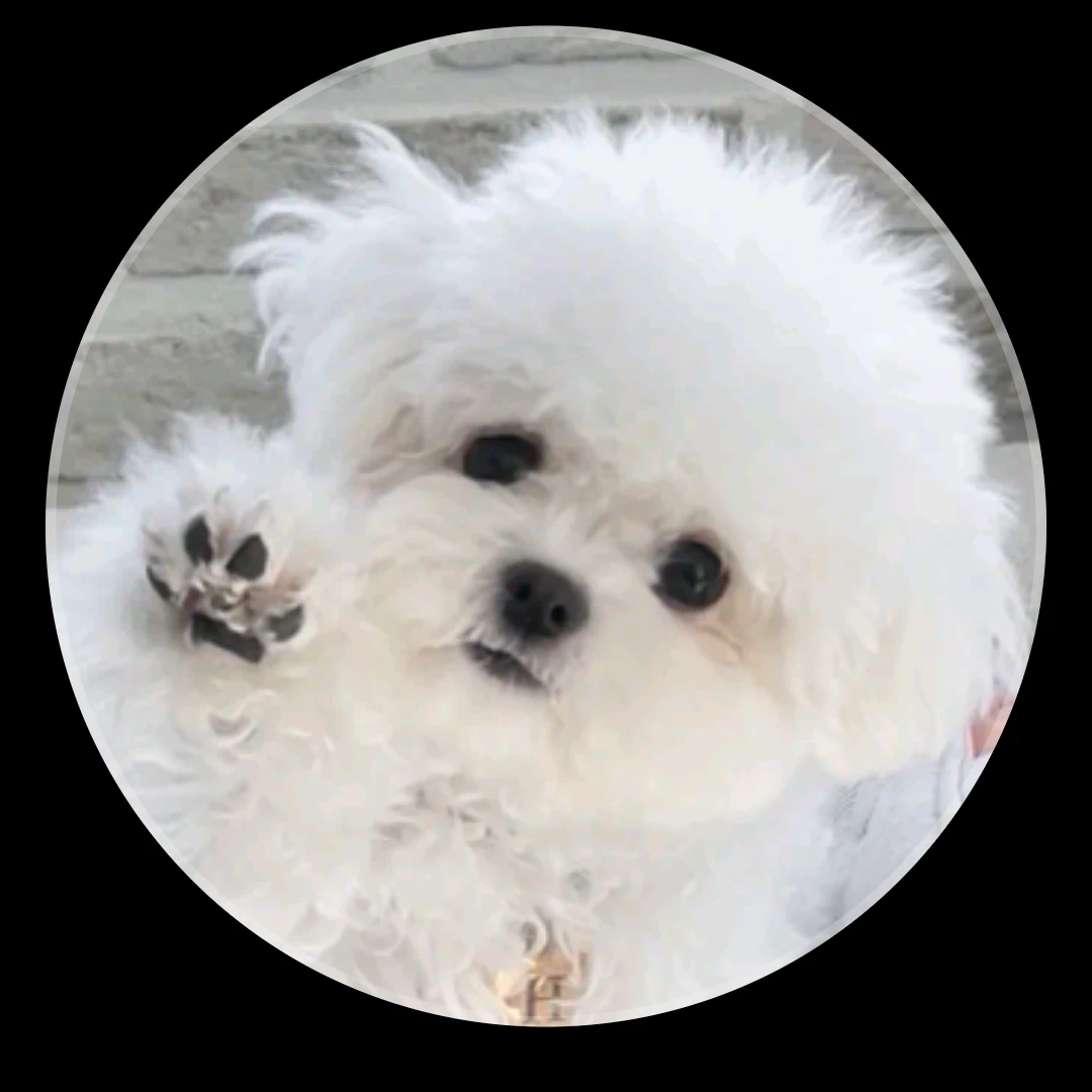 푸린이