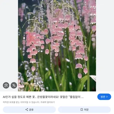 Profile image of 라더