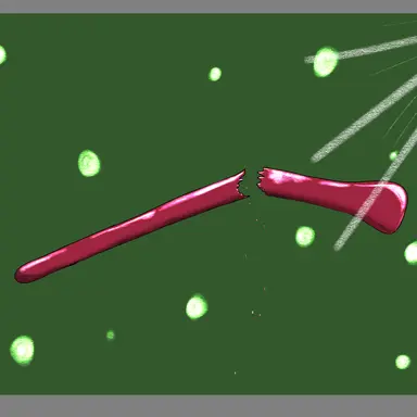 Profile image of 當步