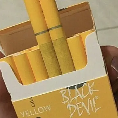 Profile image of 김일영