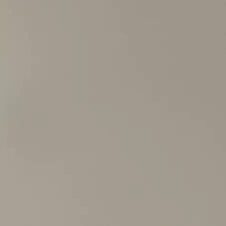 ChunkyElk8205의 飲み会