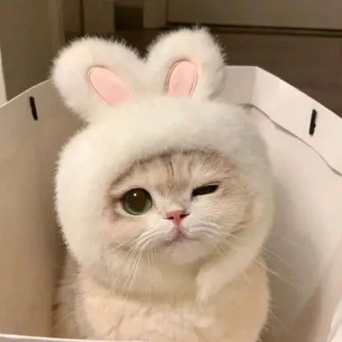 Profile image of 이시원