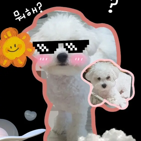 OrnateMamba9511의 봄이