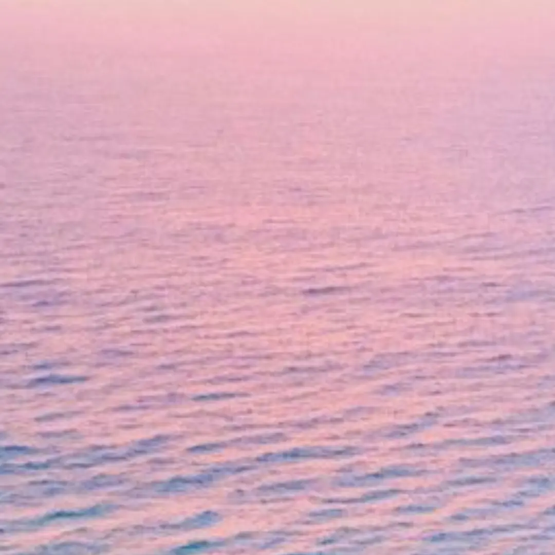 VioletHerb0803의 내하루