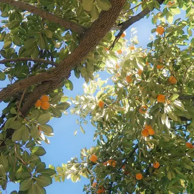 Profile image of 박영환