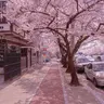 Profile image of 밥풀